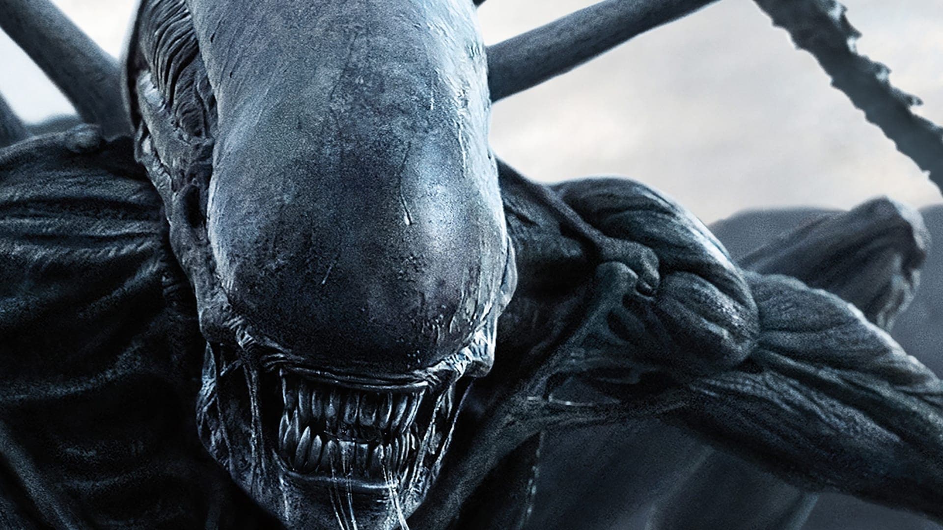 Alien: Covenant Película Completa